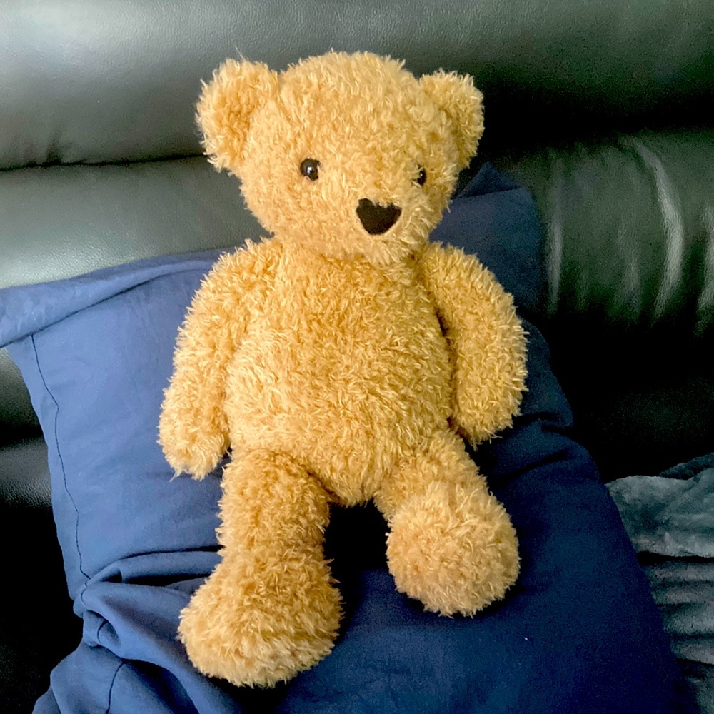 NWT Jellycat Teddy Bear.